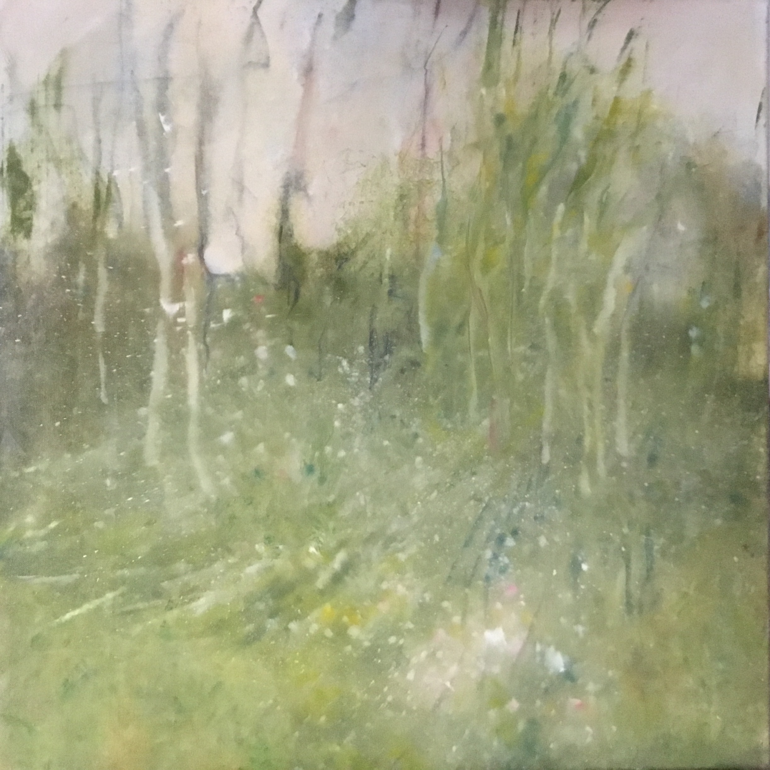 Morning sun in the woods, September 2020